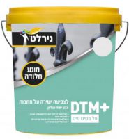 DTM בסיס מים