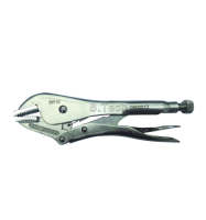 פלייר פטנט 10