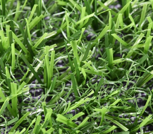 דשא סינטטי - דגם רומא