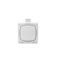 מפסק על טיח