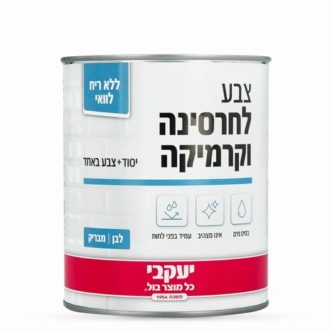 צבע לחרסינה וקרמיקה לבן מבריק 750 מ